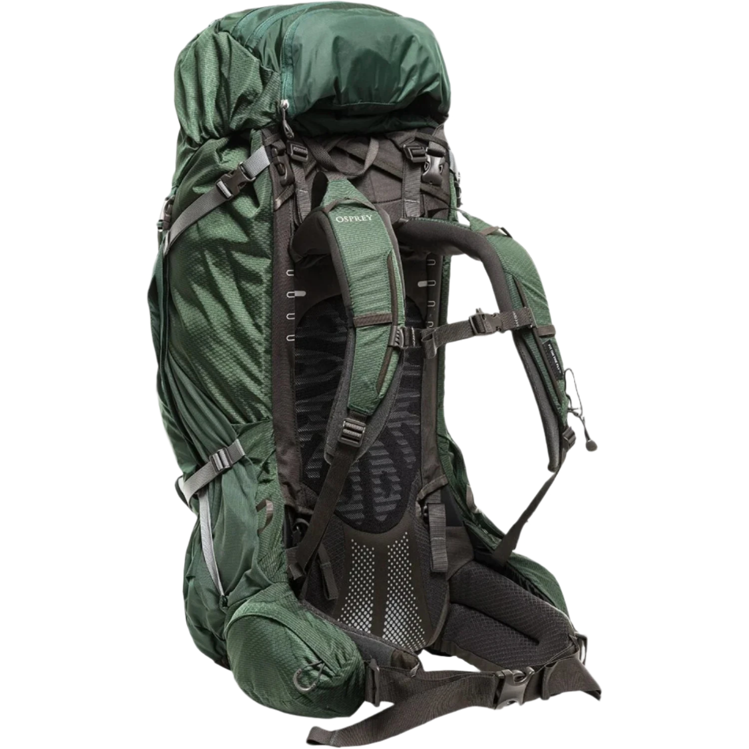 Osprey Packs 09. PACKS|LUGGAGE - PACK|ACTIVE - OVERNIGHT PACK Men's Aether Plus 70L AXO GREEN