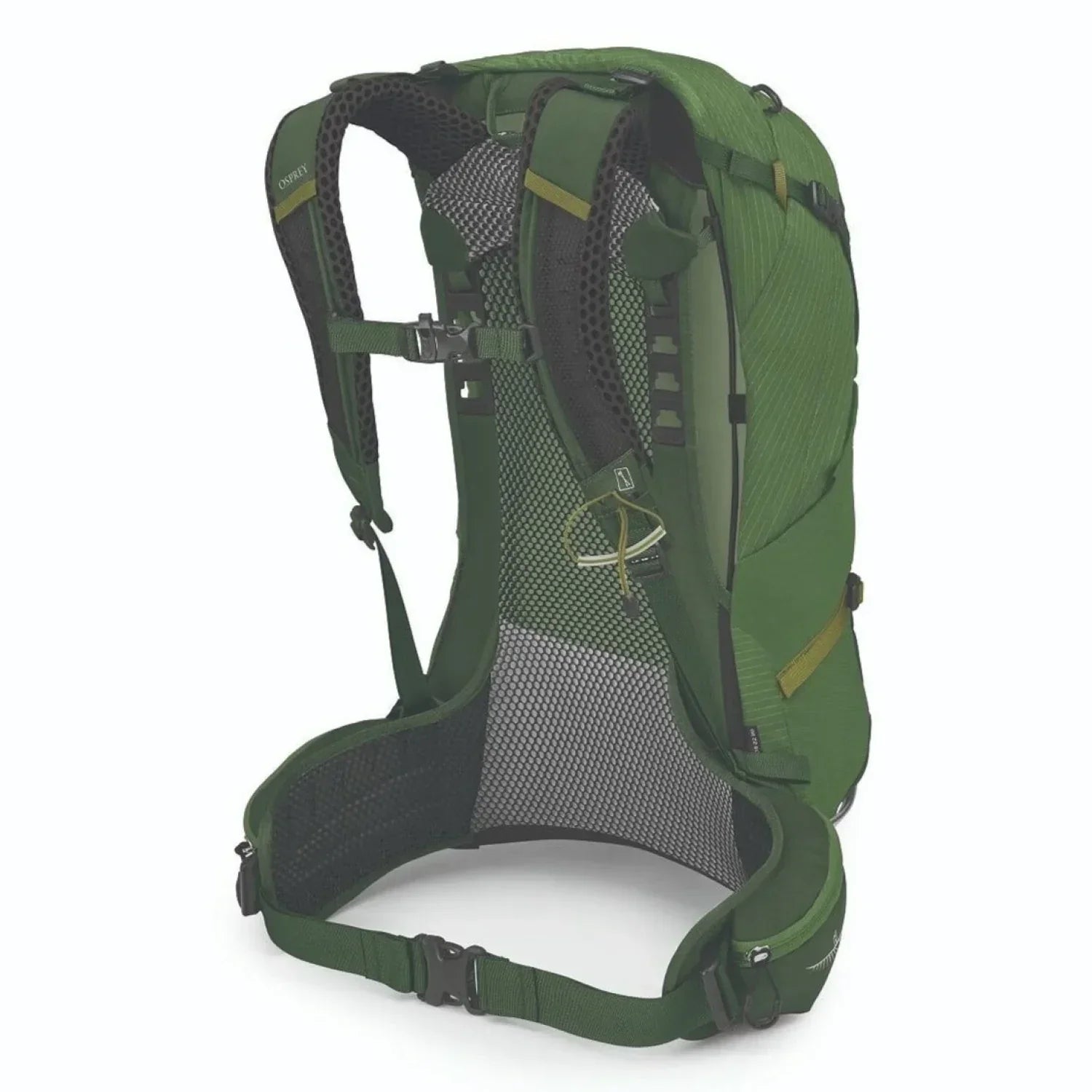 Osprey Packs 09. PACKS|LUGGAGE - PACK|ACTIVE - DAYPACK Men's Stratos 24 SEAWEED|MATCHA GREEN O S