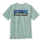 Patagonia 01. MENS APPAREL - MENS T-SHIRTS - MENS T-SHIRT SS Men's P-6 Logo Responsibili-Tee WPYG WISPY GREEN