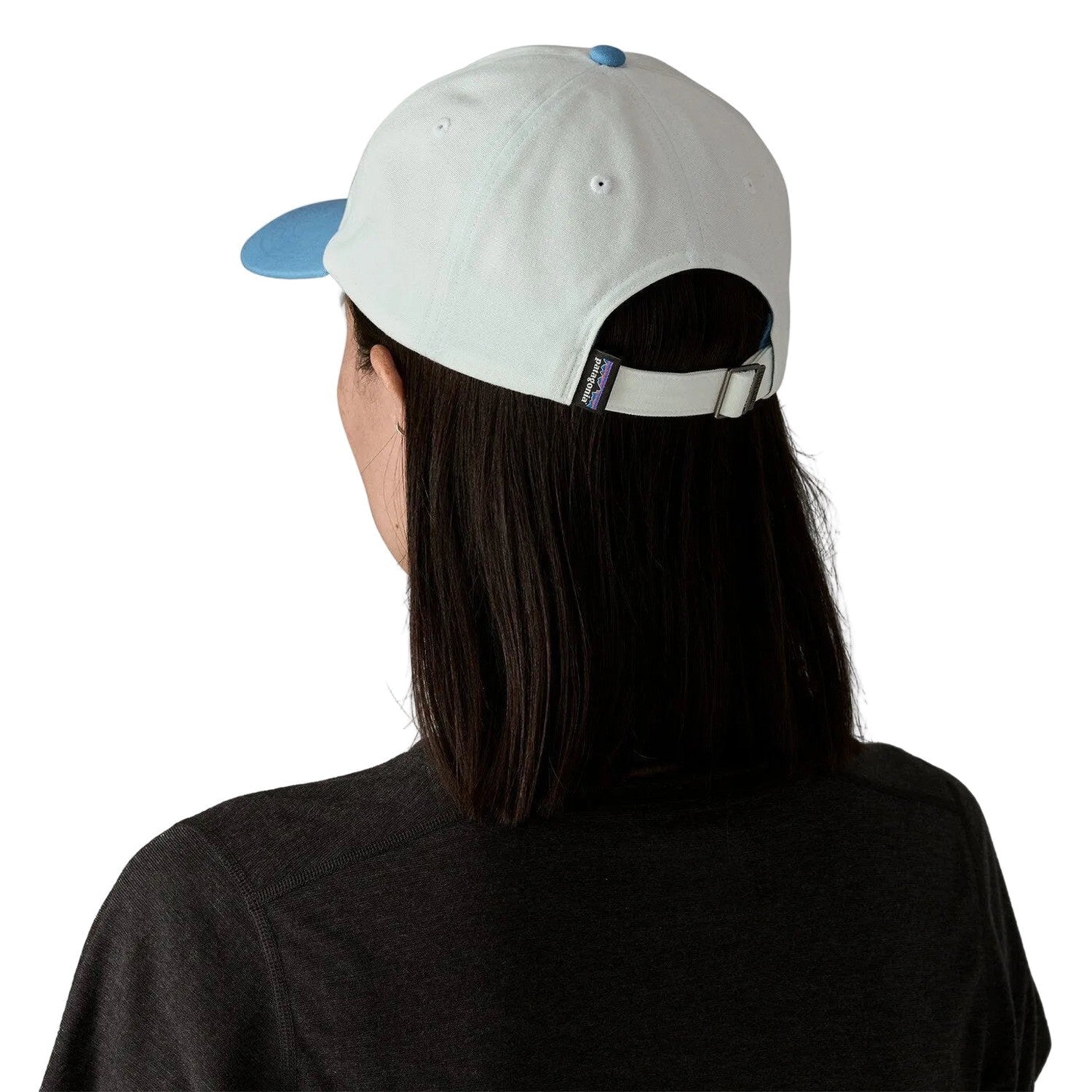 P-6 Label Trad Cap Patagonia - BISB BIRCH WHITE W/SHORE BLUE