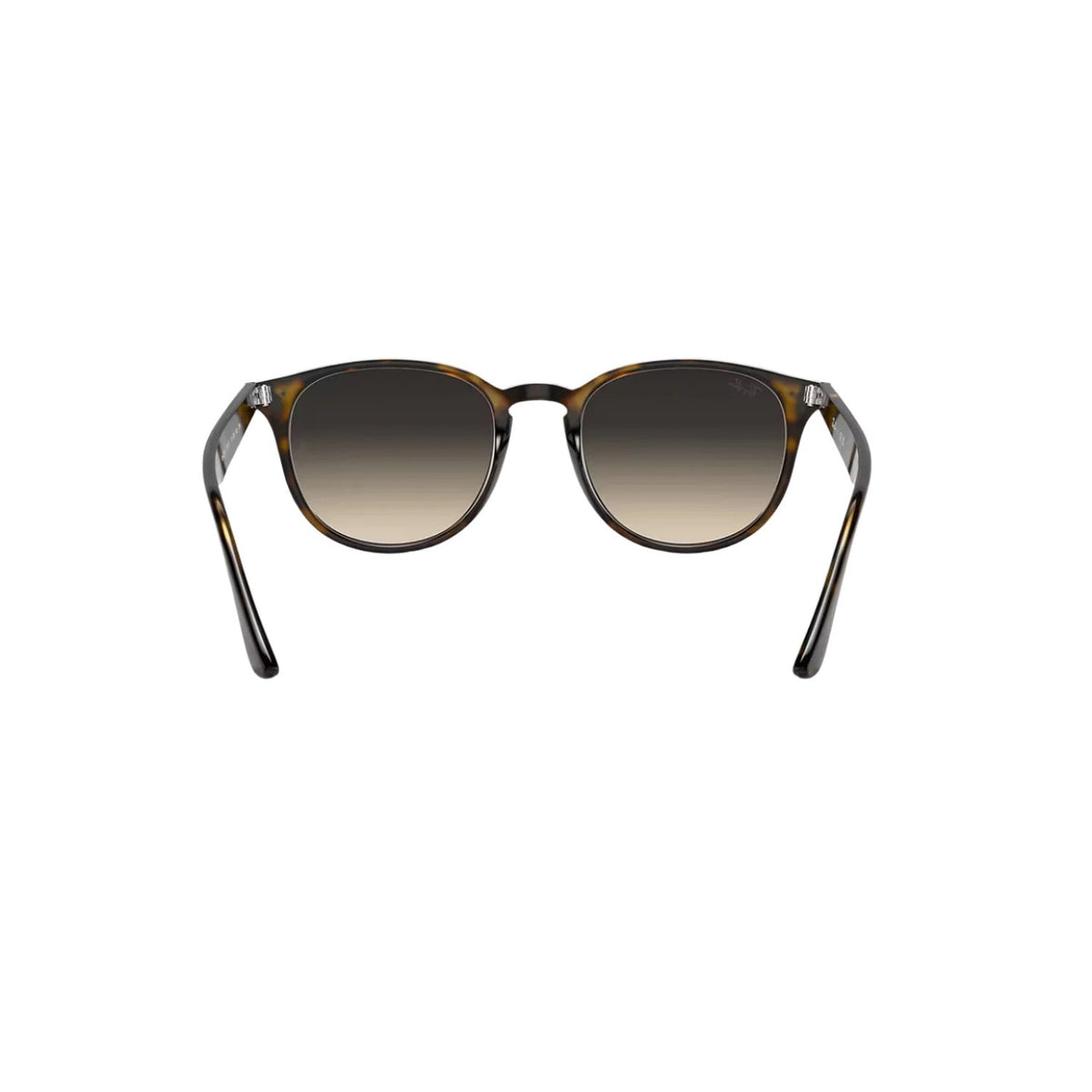 Havanna | Grey/Grey Gradient Ray Ban