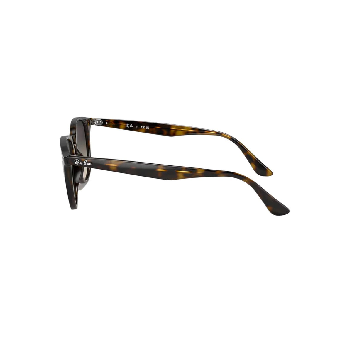 Havanna | Grey/Grey Gradient Ray Ban