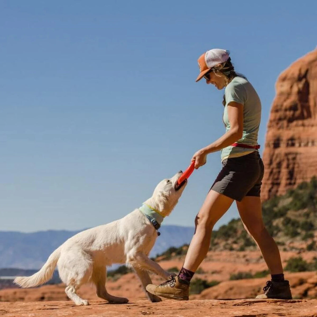 Camp Flyer Ruffwear