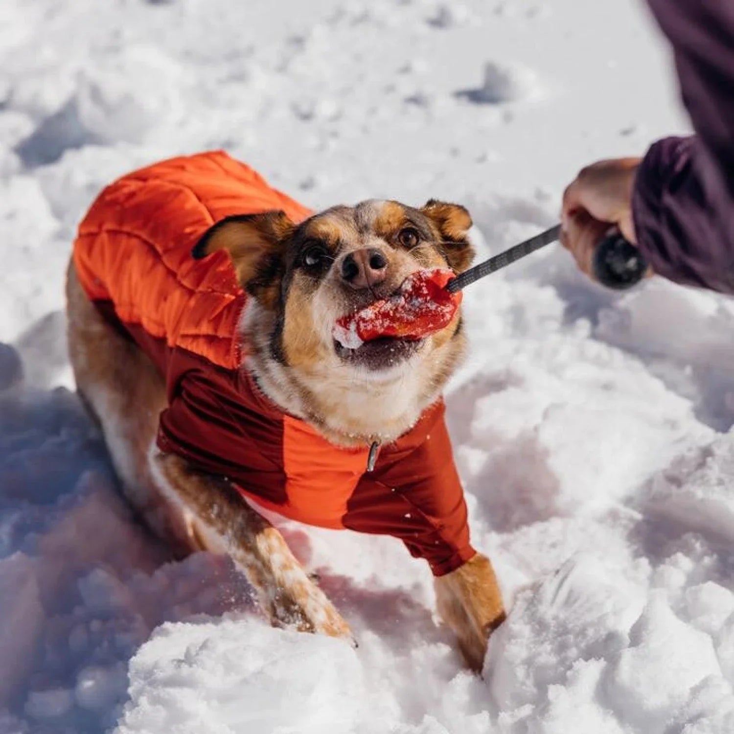 Ruffwear 12. HARDGOODS - PET - PET Huck-a-Cone RED SUMAC