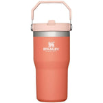 Stanley 08. DRINKWARE - WATER BOTTLES - WATER BOTTLES The Iceflow Flip Straw Tumbler 20oz GRAPEFRUIT