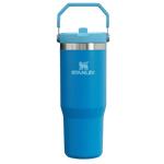 Stanley 08. DRINKWARE - WATER BOTTLES - WATER BOTTLES The Iceflow Flip Straw Tumbler 30 oz AZURE