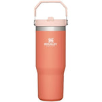 Stanley 08. DRINKWARE - WATER BOTTLES - WATER BOTTLES The Iceflow Flip Straw Tumbler 30 oz GRAPEFRUIT