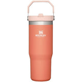 Stanley 08. DRINKWARE - WATER BOTTLES - WATER BOTTLES The Iceflow Flip Straw Tumbler 30 oz GRAPEFRUIT