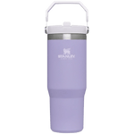 Stanley 08. DRINKWARE - WATER BOTTLES - WATER BOTTLES The Iceflow Flip Straw Tumbler 30 oz LAVENDER