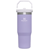 Stanley 08. DRINKWARE - WATER BOTTLES - WATER BOTTLES The Iceflow Flip Straw Tumbler 30 oz LAVENDER