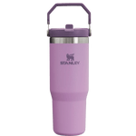 Stanley 08. DRINKWARE - WATER BOTTLES - WATER BOTTLES The Iceflow Flip Straw Tumbler 30 oz LILAC