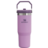 Stanley 08. DRINKWARE - WATER BOTTLES - WATER BOTTLES The Iceflow Flip Straw Tumbler 30 oz LILAC