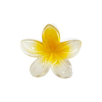 Women’s Super Bloom Clip Emi Jay - COCONUT