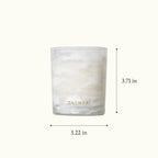 Thymes Frasier Fir Tidings 6.5 oz Candle, dimensions
