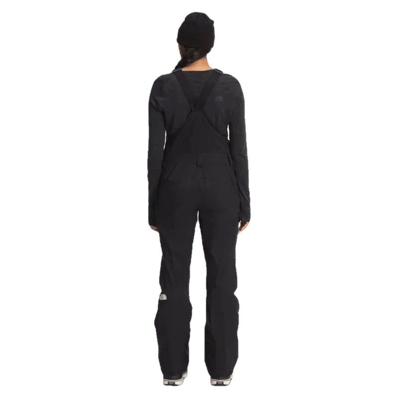 The north face men's sales freedom bib shell pants