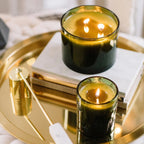 Frasier Fir Green 3-Wick Candle Thymes