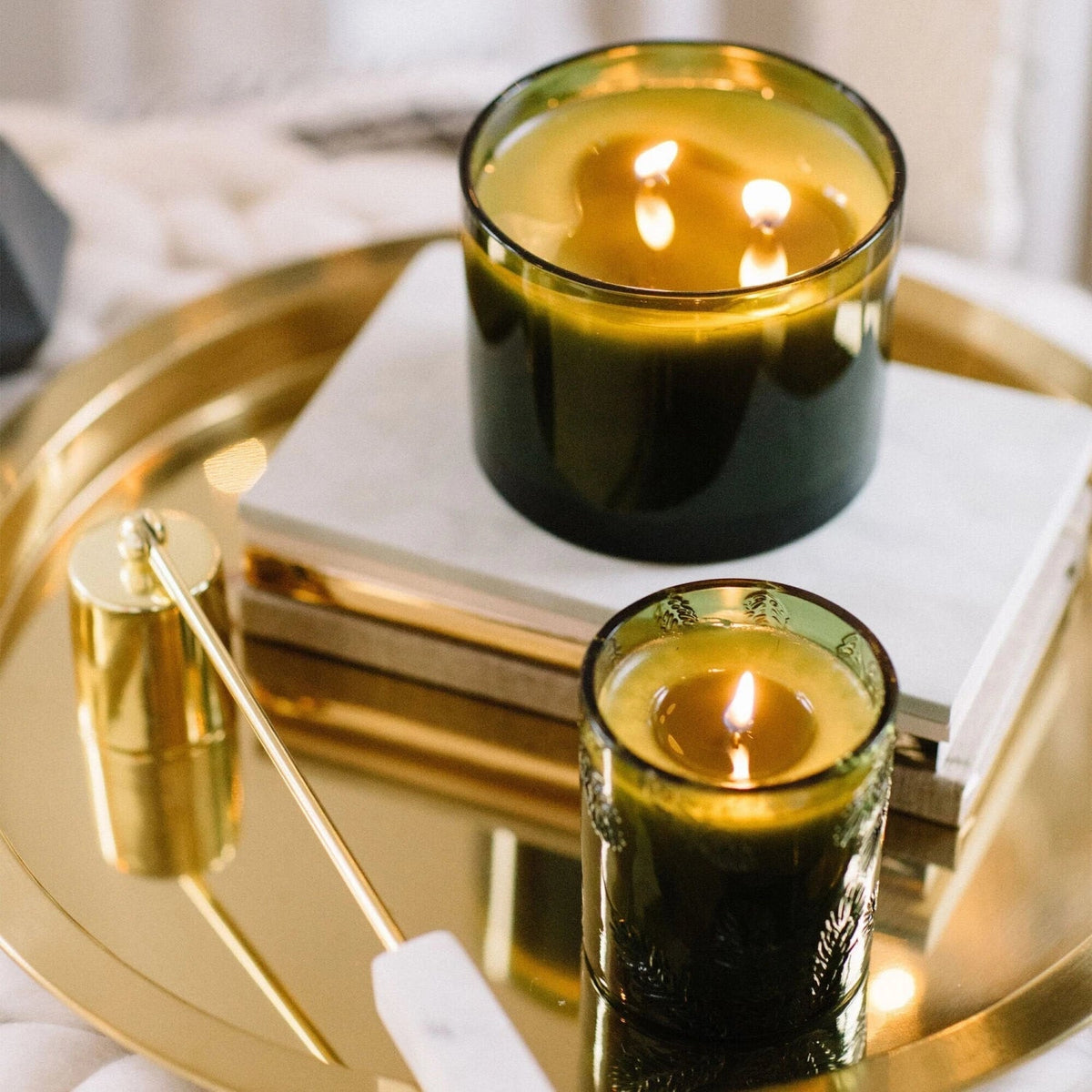 Frasier Fir Green 3-Wick Candle Thymes
