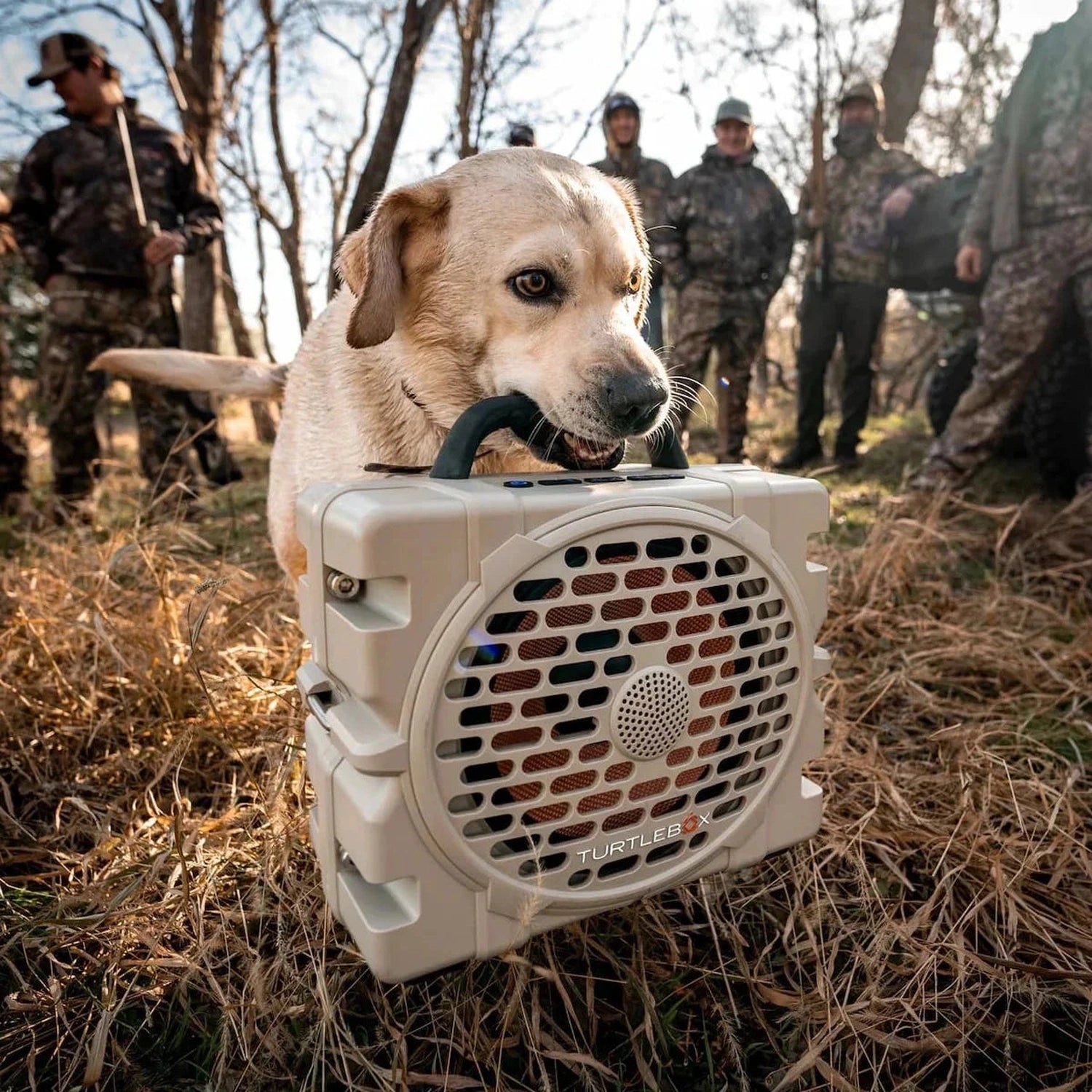 Turtlebox 12. HARDGOODS - ELECTRONICS - HEADPHONES|SPEAKER TurtleBox Grande TAN
