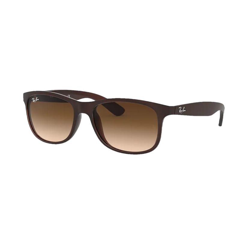 Ray Ban 21. GENERAL ACCESS - SUNGLASS Andy | 601/8G Matte Brown | Brown