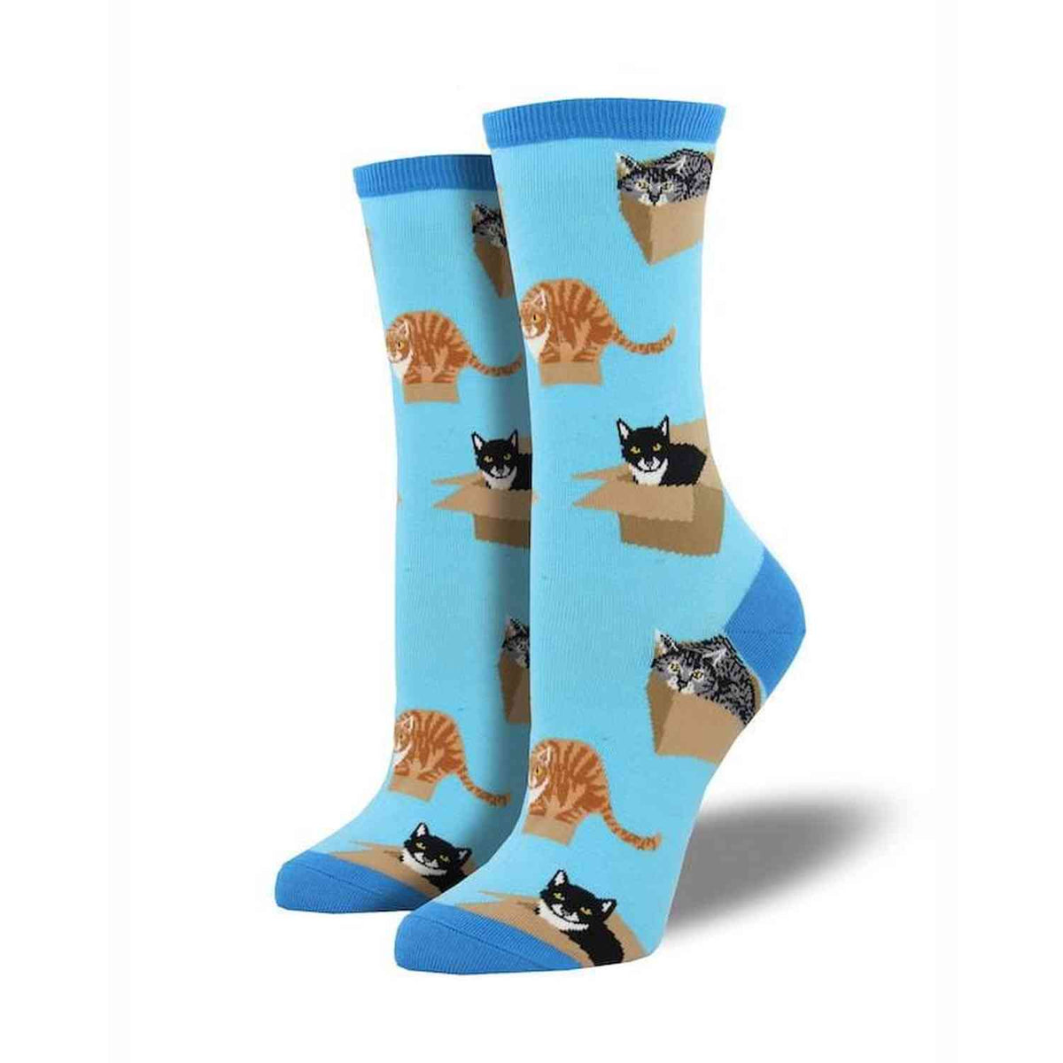 Women’s Cat in a Box Socks Socksmith - AZURE / 9-11
